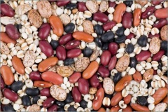 Beans, dried.jpg