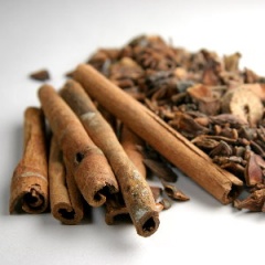 Cinnamon-1.jpg