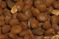Carob Beans-1.jpg