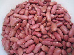 Redkidneybeans.jpg